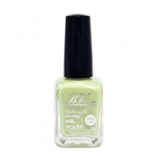 Bellavida Nail Polish N100