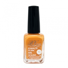 Bellavida Nail Polish N96
