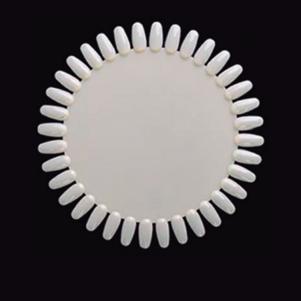 Nail Display Wheel - 36 Color
